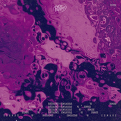 Sounds of Succulence