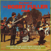The Best of The Bobby Fuller Four