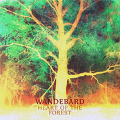 Heart of the Forest