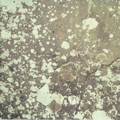 夜の幸 (Yoru No Sachi)