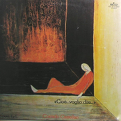 Cioè...Voglio Dire...