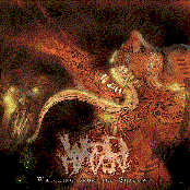 Watching From The Shadows