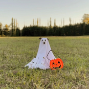 Who Am I Doing This For?