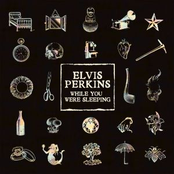 Elvis Perkins: While You Were Sleeping