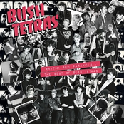 Bush Tetras: Rhythm and Paranoia: The Best of Bush Tetras