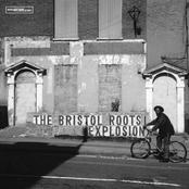 The Bristol Roots Explosion