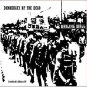 Democracy of the Dead