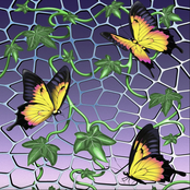 Monday In Spoons, Friday At Rooftop