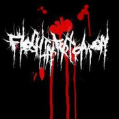 Flesh Intoxication