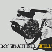 every beautiful bullet