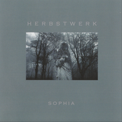 Miserere by Sophia