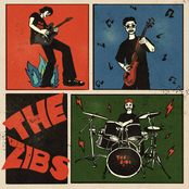 The Zibs