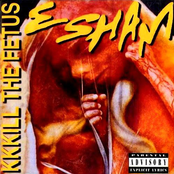 I Thought You Knew by Esham