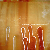 The Wallpaper Hesitates...