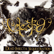 Dead Insecta Sequestration by Celestia