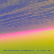 Flower Growing At The End Of A Knife