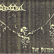 The Putrid Odour