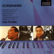 Robert Schumann: Piano Works
