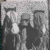 split w/ shearing pinx