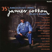 Hold Me Baby by James Cotton Blues Band