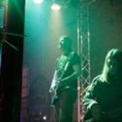 Live in Stereo Krogs