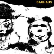 Hair Of The Dog by Bauhaus