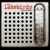 Will To Fall by The Latebirds