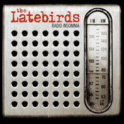 Fill Me In by The Latebirds