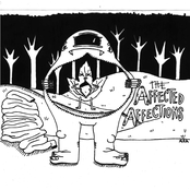 The Affected Affections 2010 demo