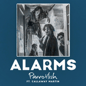 Parrotfish: Alarms