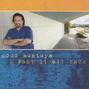 The One Who Really Loves You by Coco Montoya