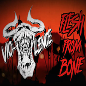 Vio-lence: Flesh from Bone