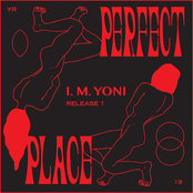 Perfect Place - Single