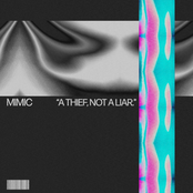 A Thief, Not a Liar.