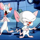 pinky and the brain