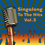 Singalong To The Hits Vol. 3