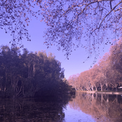 The View From Anywhere Else