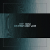 Harmonious Visit