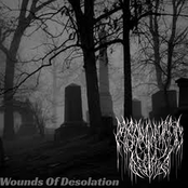 Wounds Of Desolation