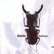 Odds: Bedbugs