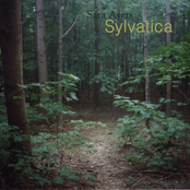 Sylvatica