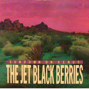 Ring Of Steel by The Jet Black Berries