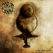 To The Silver Satellite