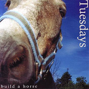 Build A Horse