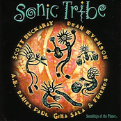 Siren Of The Desert by Sonic Tribe