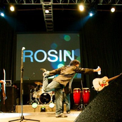 rosin