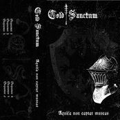 Aquila non captat muscas