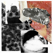 A Love Story: The Sweet Ailment Of Mephetic Fluids Transmitted Through Infectious Fornication / Session #13
