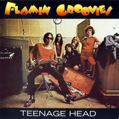 City Lights by Flamin' Groovies