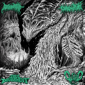 Olfactory Cordycipitaceae Ingress